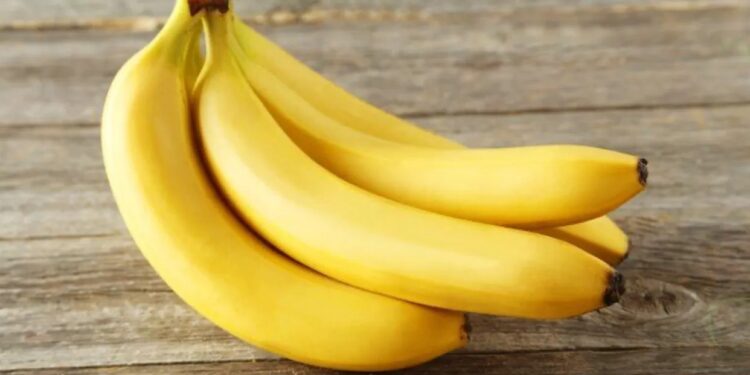 Ilustrasi Pisang