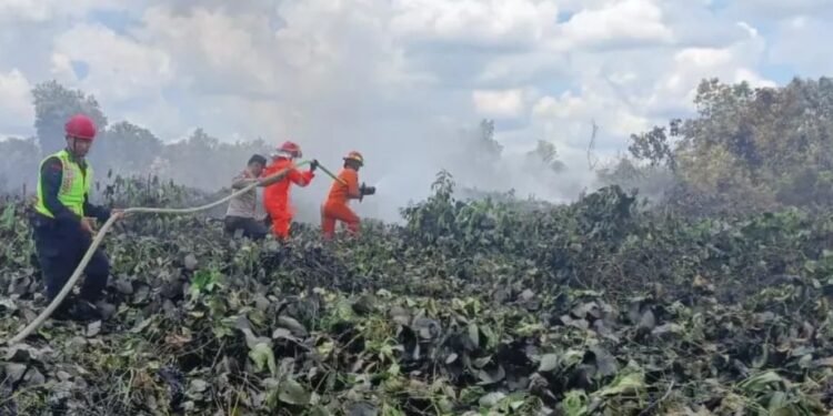 Kebakaran hutan dan lahan kembali melanda wilayah Tanah Grogot