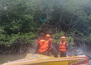 Warga Balikpapan Tewas Diterkam Buaya, Tim Gabungan Lanjutkan Pencarian