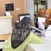 Layanan Administrasi Dinas Penanaman Modal dan Pelayanan Terpadu Satu Pintu, Kota Bontang