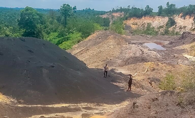 Satgas Otorita IKN bongkar tambang batu bara ilegal di kawasan konservasi Tahura.