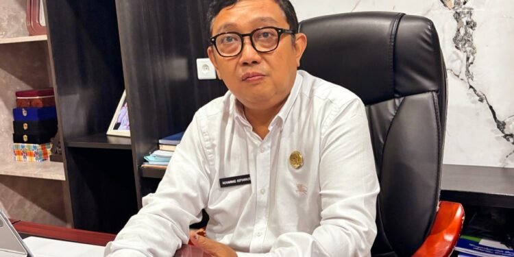 Kepala DPMPTSP, Muhammad Aspiannur.