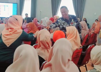 Gerakan Posyandu Aktif, Upaya Dinkes Ciptakan Kader Unggul yang Kompeten
