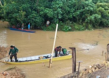 Warga Bengalon Tewas Diterkam Buaya Saat Pasang Jaring di Sungai