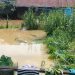 Kondisi banjir di Teluk Lingga Kutim