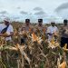 Polsek Muara Wahau dan Polsek Kongbeng bersinergi dengan Sinar Mas Group menggelar panen raya jagung hibrida kuartal I 2026.