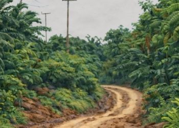 Ilustrasi kondisi Jalan di Kaltim