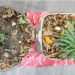 Warga di Bontang tanam ganja di rumah