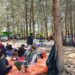 Suasana hamparan Cemara Pantai Kersik tarik minat wisatawan