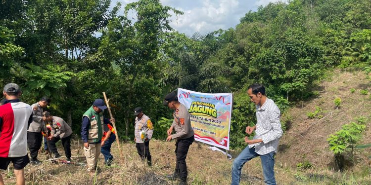 Penanaman jagung di lahan eks tambang Teluk Pandan, Kutai Timur, Rabu (18/3), untuk mendukung ketahanan pangan. (Dok. Polres Kutim)
