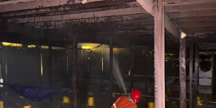 Kondisi Kadang ayam di Sebulu Kukar usai terbakar