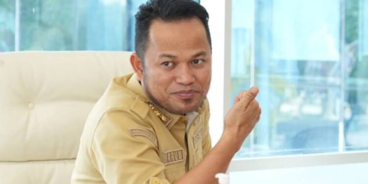 Gubernur Kaltim H Rudy Mas’ud