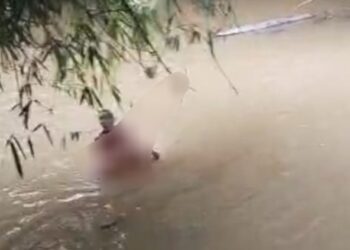 Pelajar SD di Bengalon Tewas Diduga Diterkam Buaya
