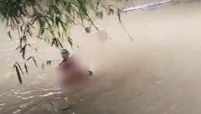 Pelajar SD di Bengalon Tewas Diduga Diterkam Buaya