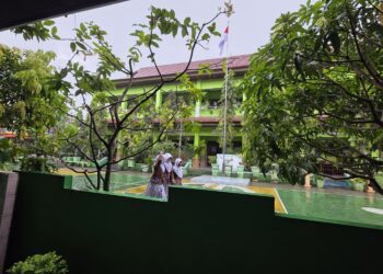Berbagai tanaman tumbuh di area SDN 008 Bontang Utara