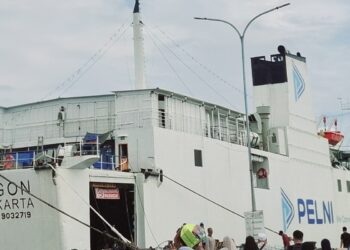 Jadwal KM Egon Juni 2026 di Bontang
