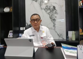 Kepala DMPTSP, Muhammad Aspianur (Dok/Cuitan)