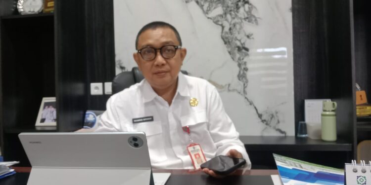 Kepala DMPTSP, Muhammad Aspianur (Dok/Cuitan)