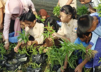 Siswa-siswi SDN 002 Bontang Barat sedang panen kangkung perdana. (Istimewa)