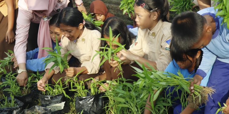 Siswa-siswi SDN 002 Bontang Barat sedang panen kangkung perdana. (Istimewa)