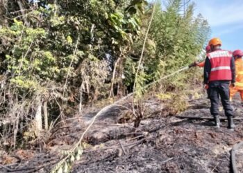 Personel Satuan Brimob Kompi 3 Berau turun ke lokasi untuk membantu memadamkan kebakaran hutan dan lahan (karhutla)