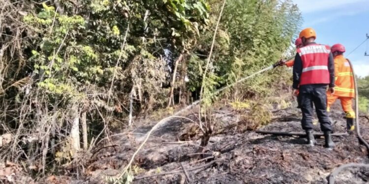 Personel Satuan Brimob Kompi 3 Berau turun ke lokasi untuk membantu memadamkan kebakaran hutan dan lahan (karhutla)