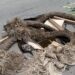 Kondisi jalan berlubang di Jalur Sangatta - Bontang