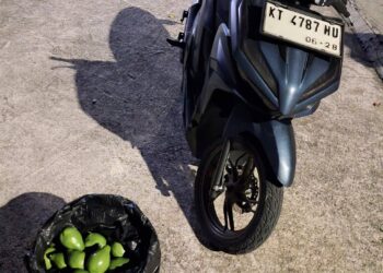 Motor pelaku pencurian alpukat di Perumahan BTN PKT, Kota Bontang