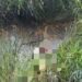 Bocah Hilang di Sangatta, Ditemukan Meninggal Dunia di Kawasan Bukit Pelangi