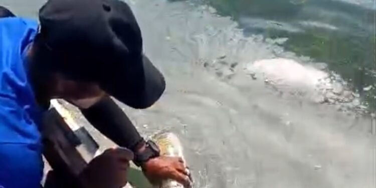 Saat masyarakat saat mengambil sample diduga endapan minyak di laut