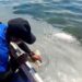 Saat masyarakat saat mengambil sample diduga endapan minyak di laut