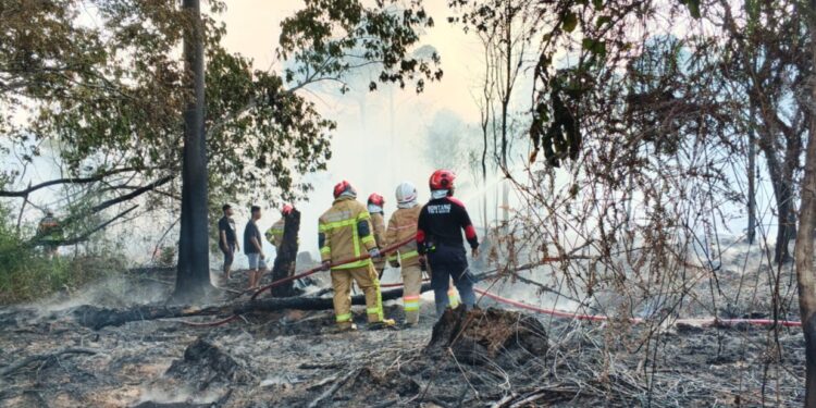 Kondisi usai kebakarahan lahan di Bontang