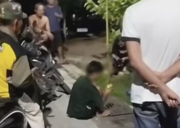 Terlihat terduga pelaku diamankan warga karna mencuri mangga