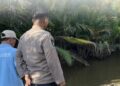 Saat pihak Polres Paser mendatangi lokasi kejadian