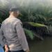 Saat pihak Polres Paser mendatangi lokasi kejadian
