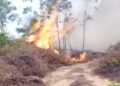 Kondisi kebakaran di Lahan di HOP 7 Bontang