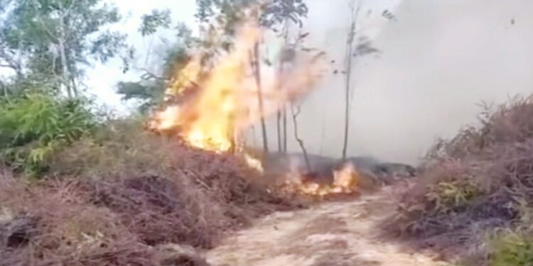 Kondisi kebakaran di Lahan di HOP 7 Bontang